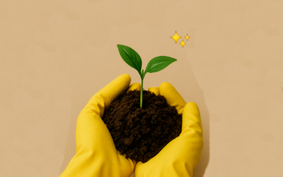 Beneficios de elegir un servicio de limpieza ecológica